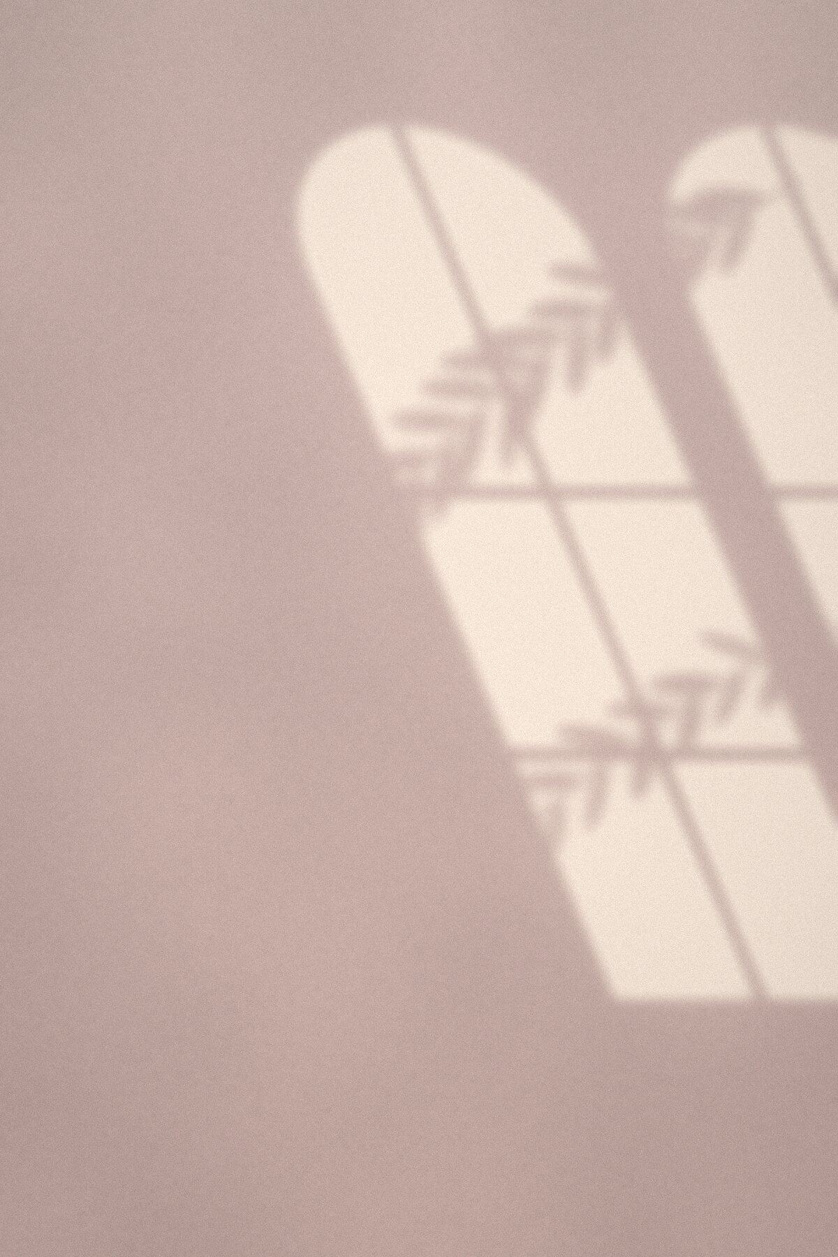 Lumière du matin à travers une fenêtre en arche, ombre d’une branche d’olivier sur un mur de plâtre rosé