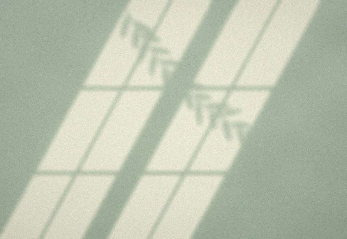 Lumière de fin de journée sur le mur vert sauge d’un studio